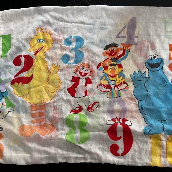 Vintage Sesame Street Pillow Case , Standard, Ernie , Cookie Monster , Big Bird - Picture 3 of 5